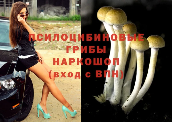 мет Дмитриев