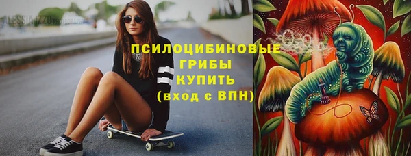 мет Дмитриев