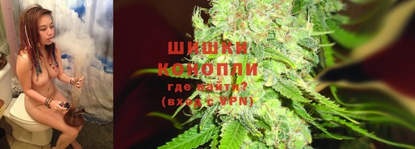 мет Дмитриев
