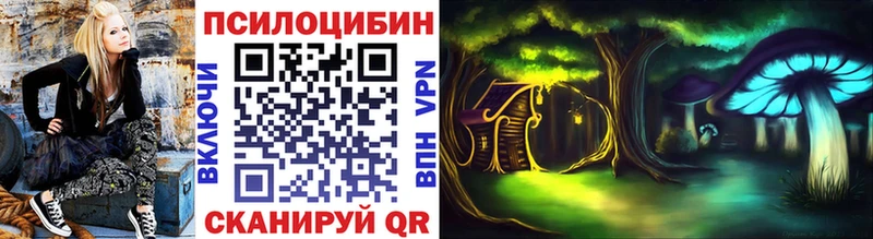 Псилоцибиновые грибы ЛСД  блэк спрут ССЫЛКА  Пятигорск  купить наркотики сайты 