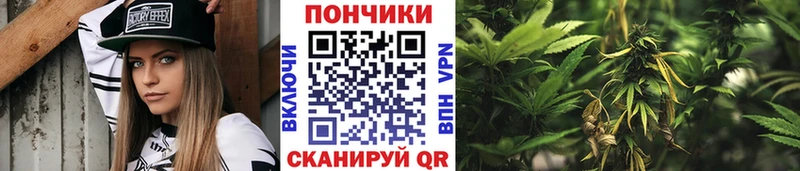 Бошки марихуана AK-47  blacksprut вход  shop телеграм  как найти закладки  Пятигорск 